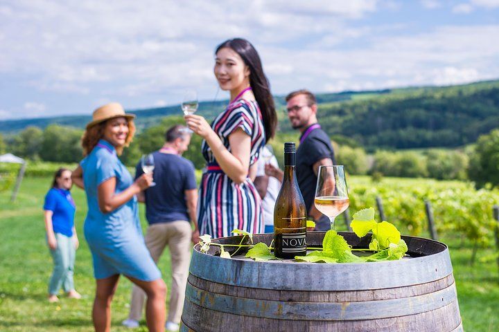 Afternoon Escape Wineries Tour from Halifax & Wolfville 